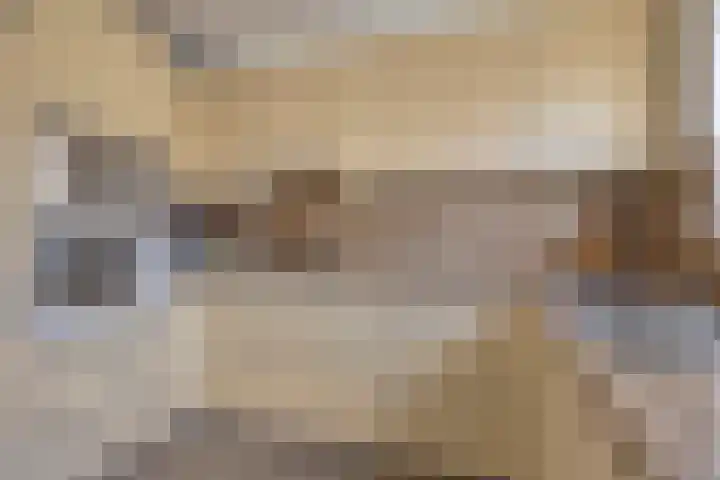 Ekster 13 Boxmeer thumbnail 16