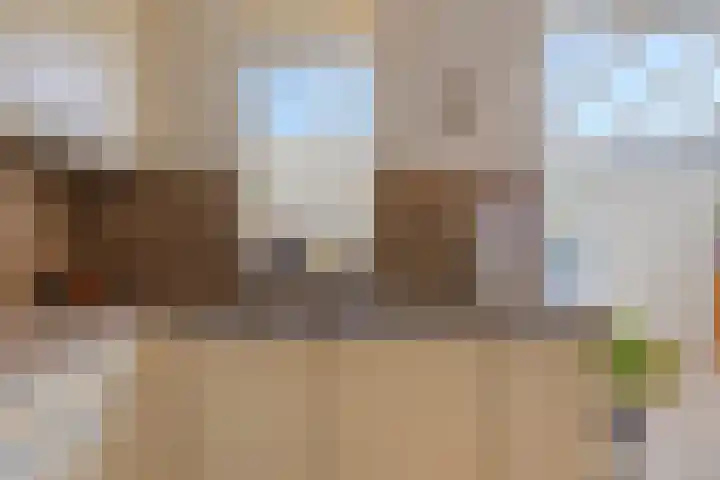 Ekster 13 Boxmeer thumbnail 17