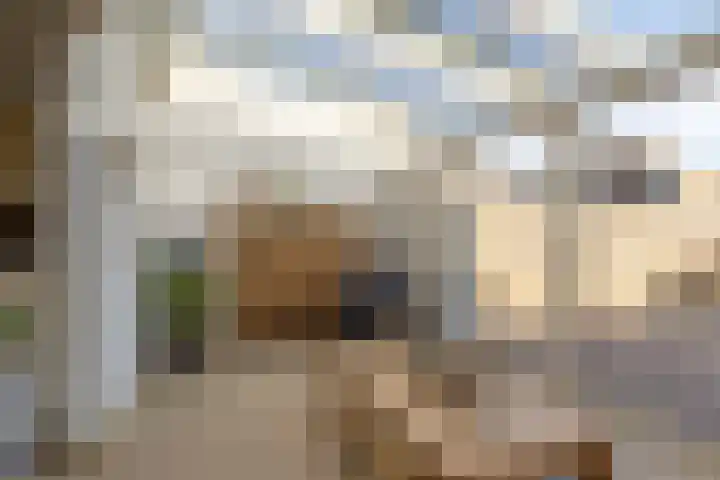 Ekster 13 Boxmeer thumbnail 18