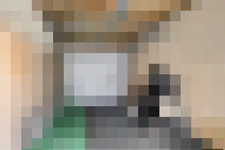 Ekster 13 Boxmeer thumbnail 21