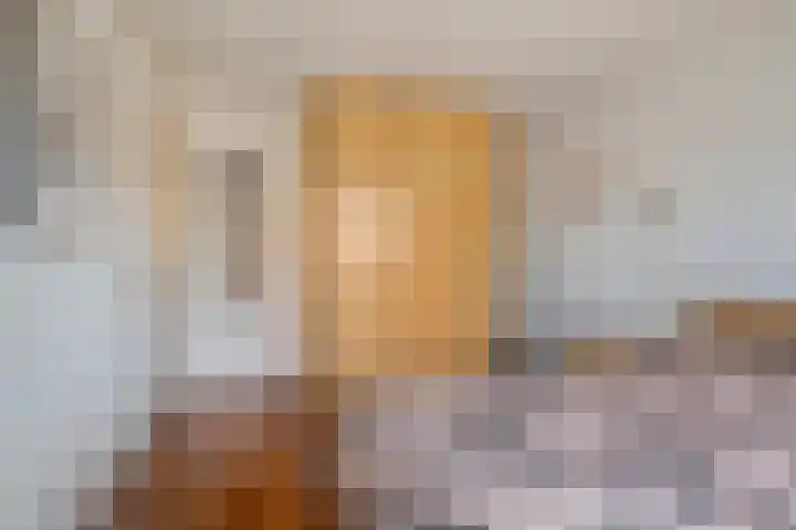 Ekster 13 Boxmeer thumbnail 23