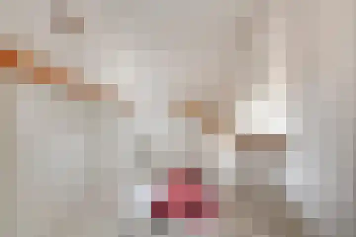 Ekster 13 Boxmeer thumbnail 25