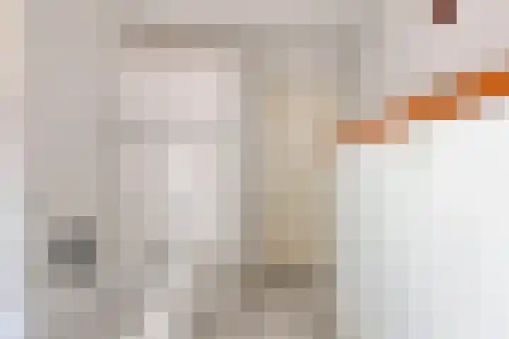 Ekster 13 Boxmeer thumbnail 28