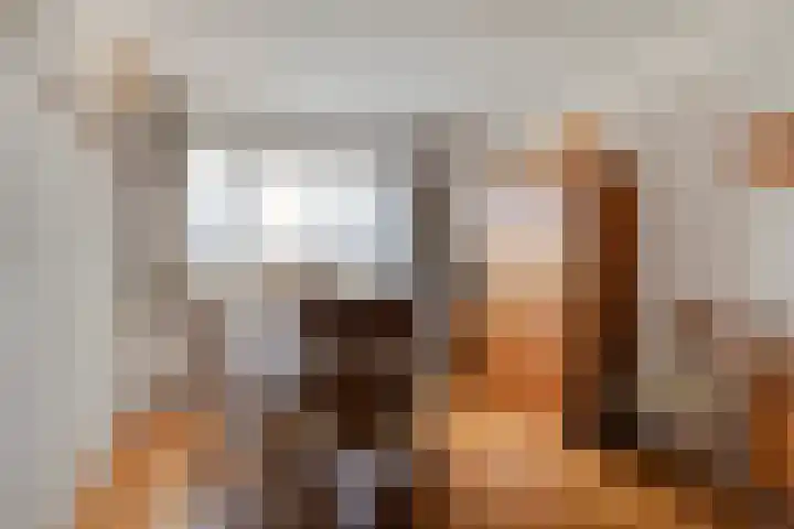 Ekster 13 Boxmeer thumbnail 29