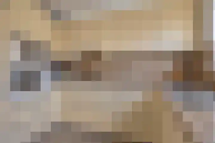 Ekster 13 Boxmeer foto 3