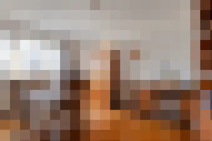 Ekster 13 Boxmeer thumbnail 30