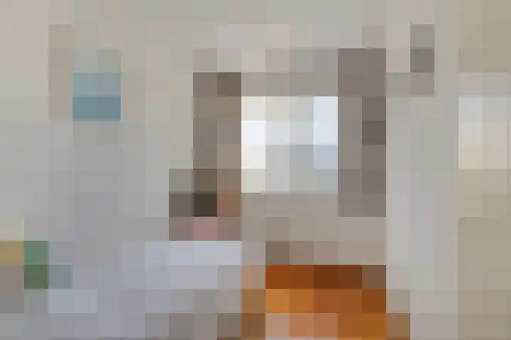 Ekster 13 Boxmeer thumbnail 31