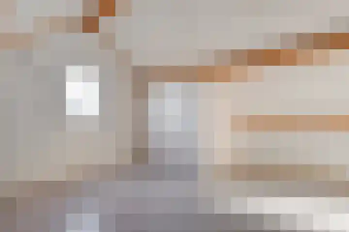 Ekster 13 Boxmeer thumbnail 33