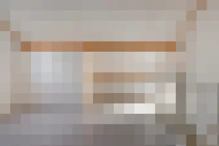 Ekster 13 Boxmeer thumbnail 34