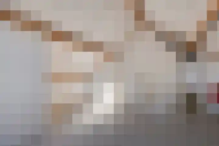 Ekster 13 Boxmeer thumbnail 35