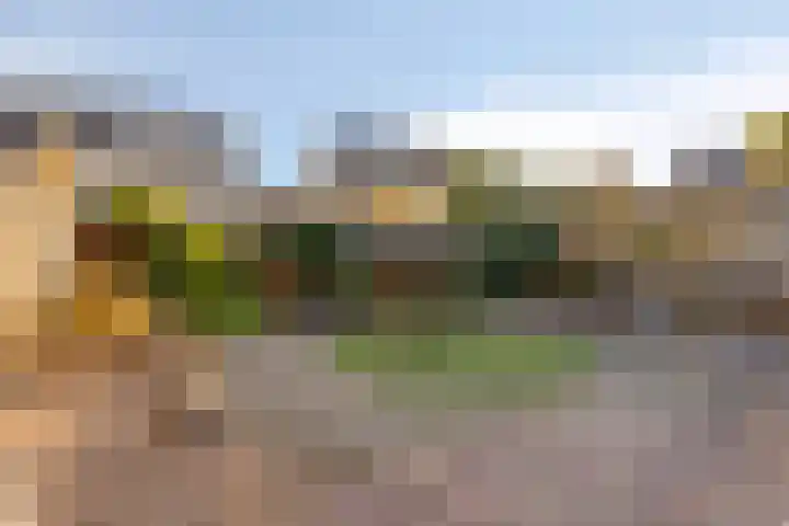 Ekster 13 Boxmeer thumbnail 36