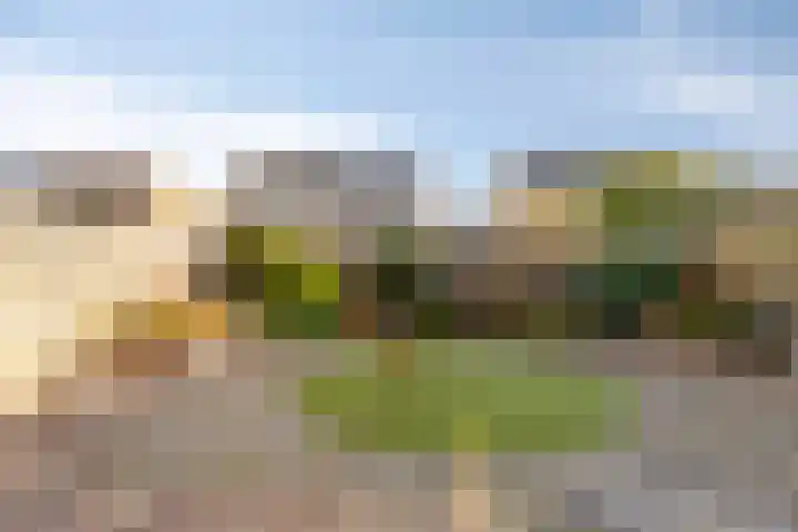 Ekster 13 Boxmeer thumbnail 37