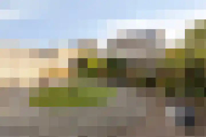 Ekster 13 Boxmeer thumbnail 38