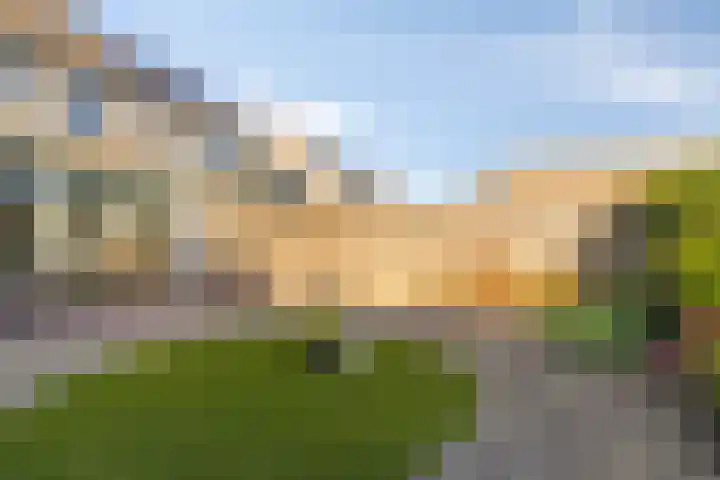 Ekster 13 Boxmeer thumbnail 39
