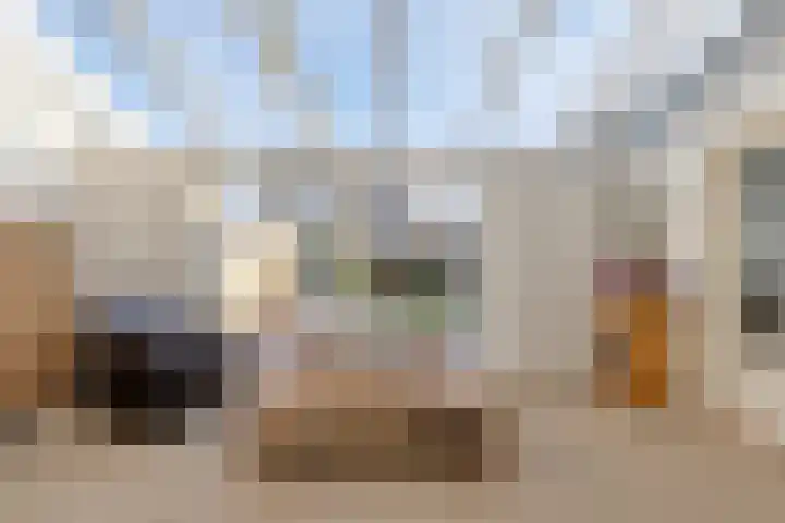 Ekster 13 Boxmeer thumbnail 4