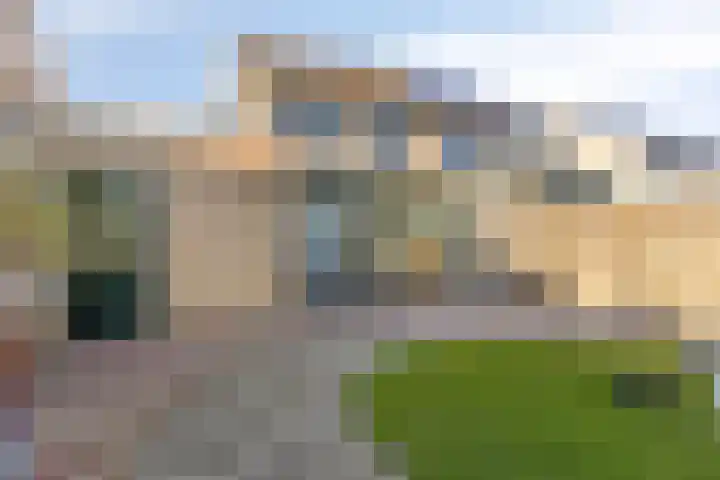Ekster 13 Boxmeer thumbnail 40