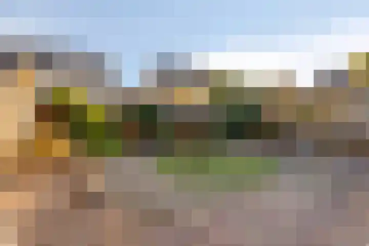 Ekster 13 Boxmeer thumbnail 5