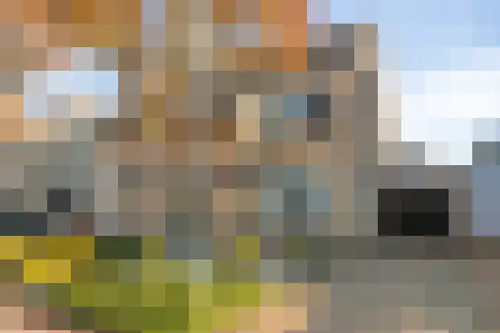 Ekster 13 Boxmeer thumbnail 6