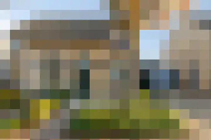 Ekster 13 Boxmeer thumbnail 7