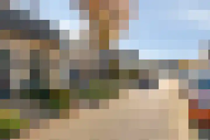 Ekster 13 Boxmeer thumbnail 8