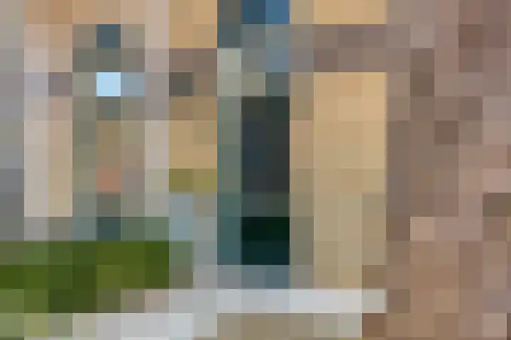 Ekster 13 Boxmeer thumbnail 9
