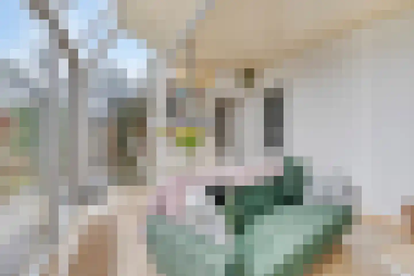 Ekster 20 Veldhoven thumbnail 20