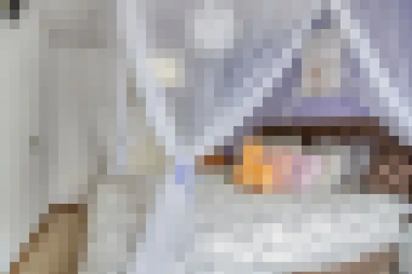 Ekster 20 Veldhoven thumbnail 23
