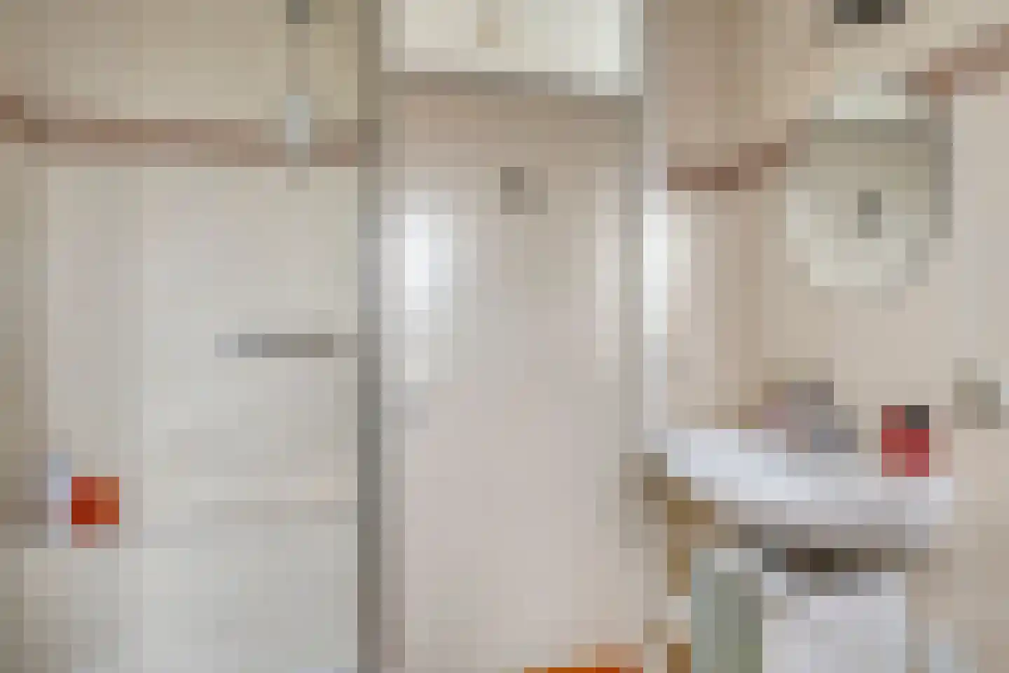 Ekster 20 Veldhoven thumbnail 28