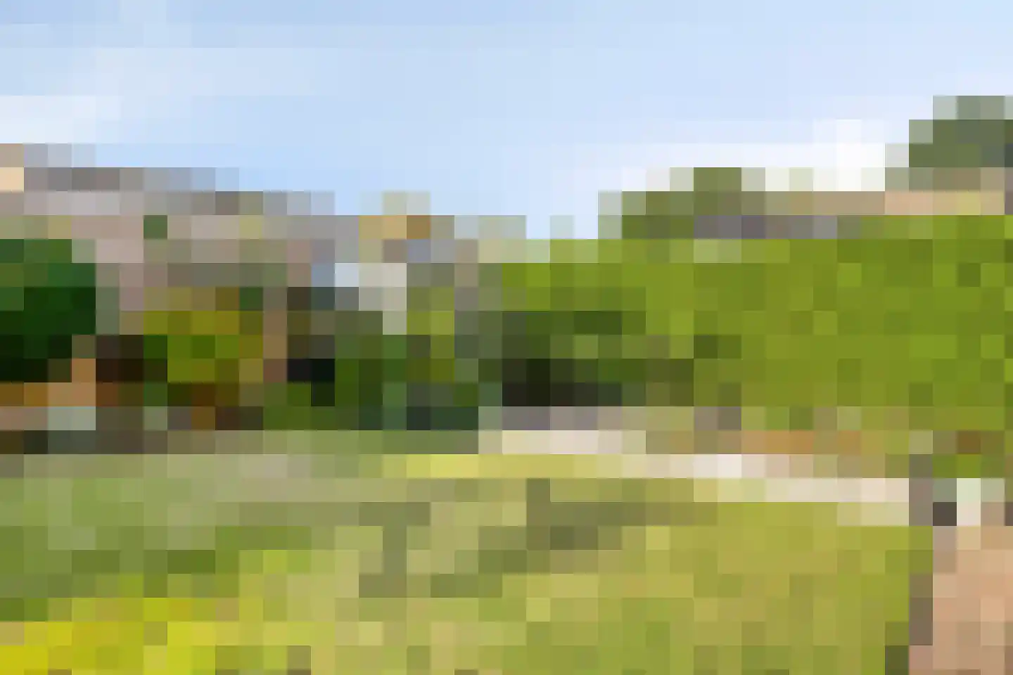 Ekster 20 Veldhoven thumbnail 32