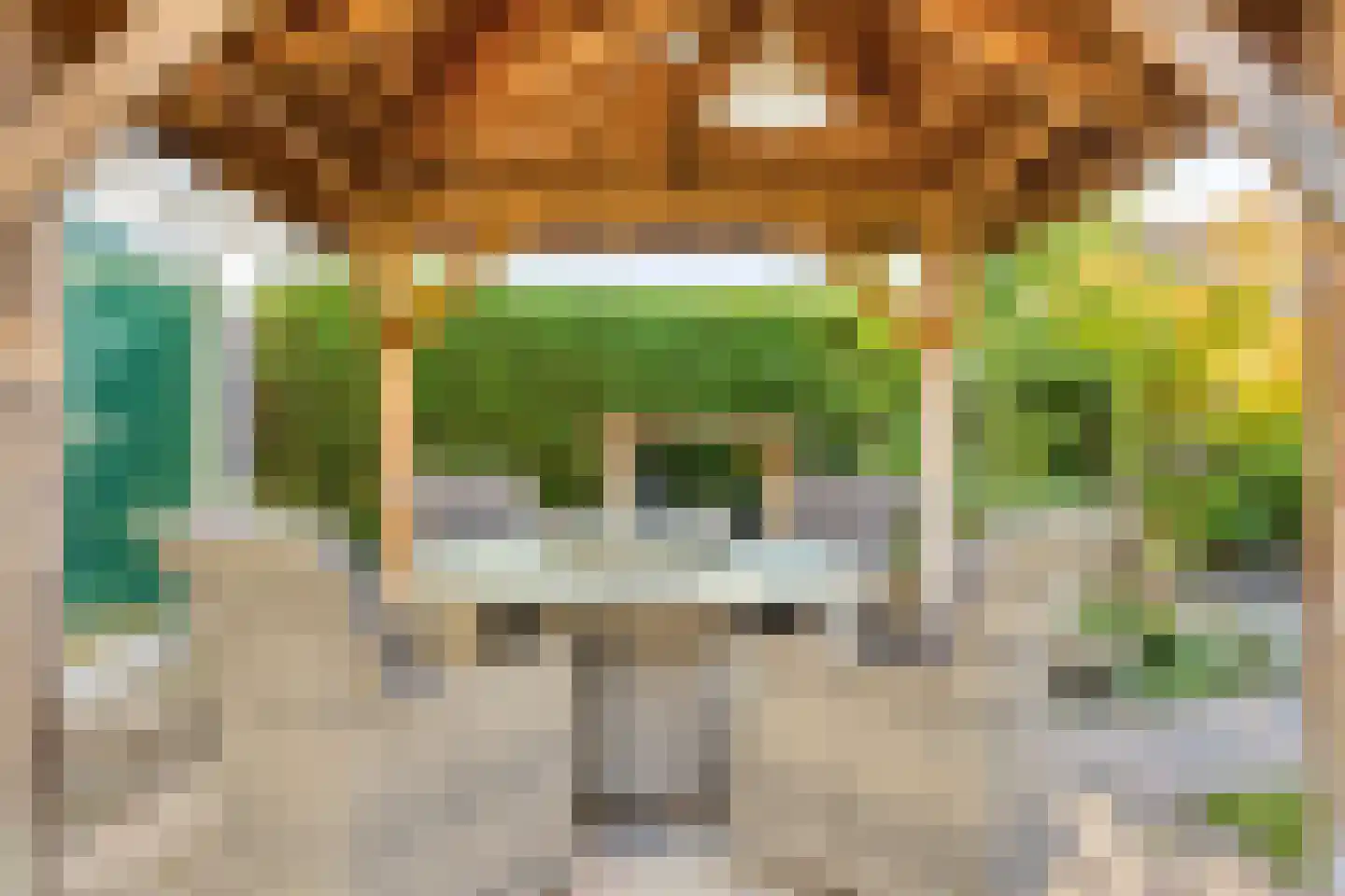 Ekster 20 Veldhoven thumbnail 33