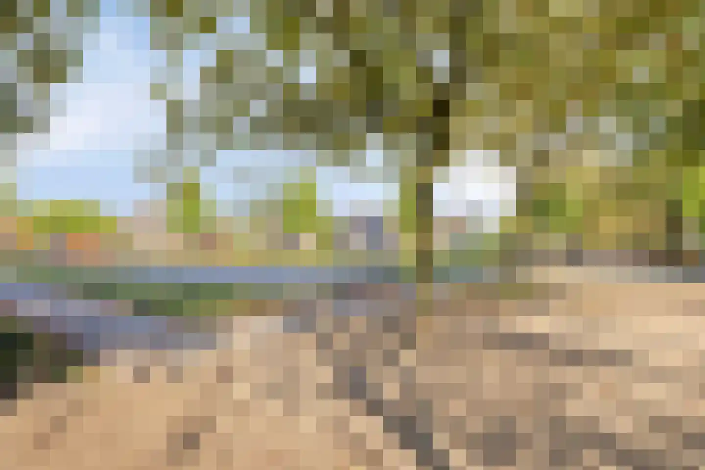 Ekster 20 Veldhoven thumbnail 36