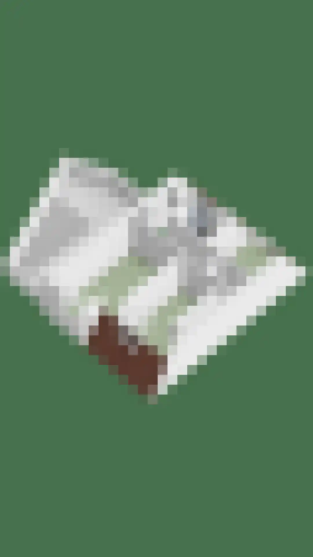 Ekster 20 Veldhoven thumbnail 39