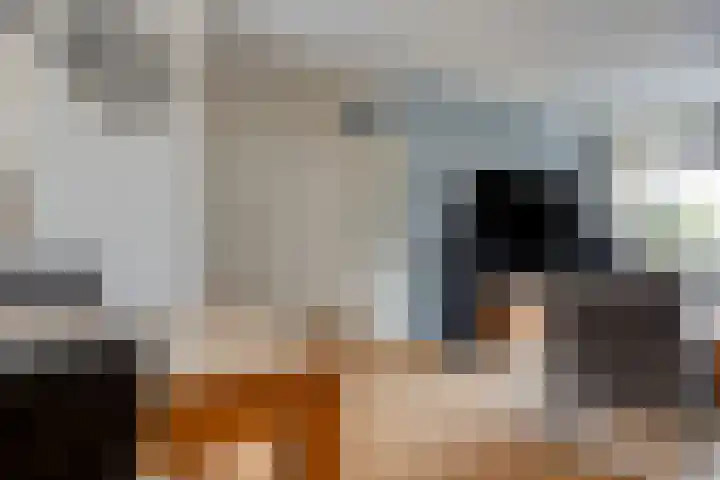 Ekster 25 Veldhoven thumbnail 10