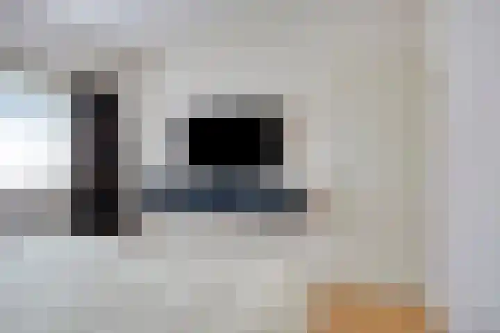 Ekster 25 Veldhoven thumbnail 17