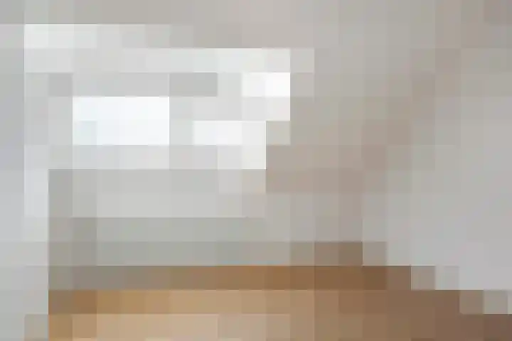 Ekster 25 Veldhoven thumbnail 20