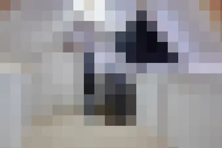 Ekster 25 Veldhoven thumbnail 28