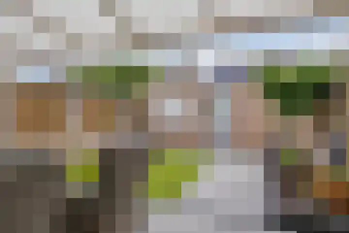Ekster 25 Veldhoven thumbnail 31