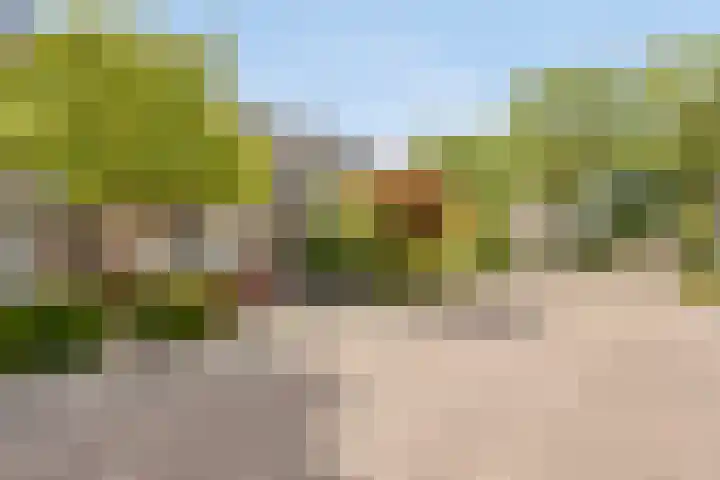 Ekster 25 Veldhoven thumbnail 4