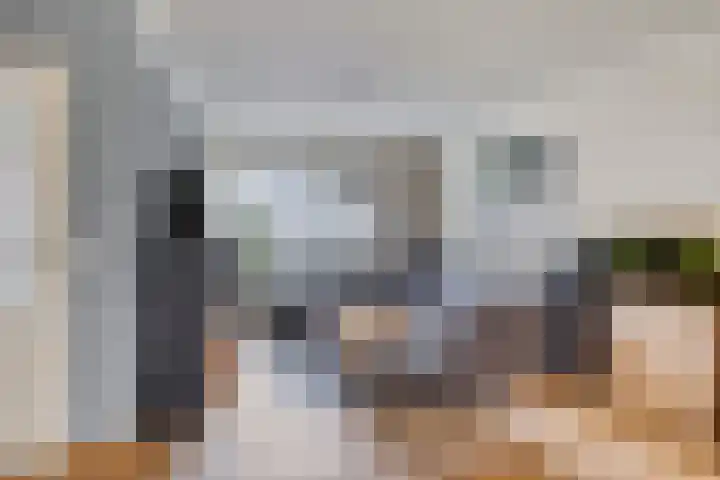 Ekster 25 Veldhoven thumbnail 8