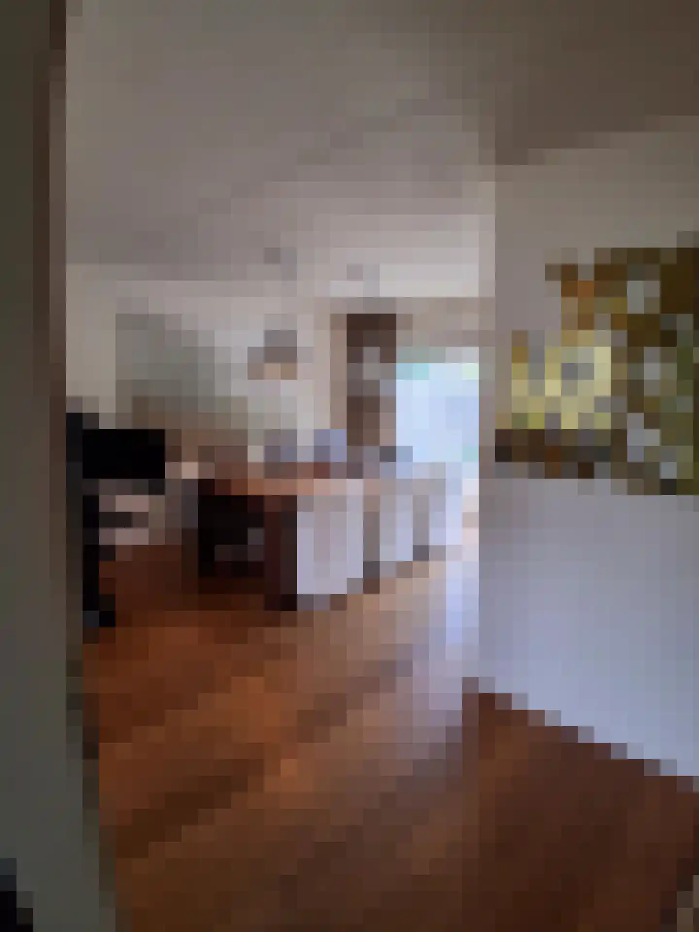 Ekster 29 Veldhoven thumbnail 13