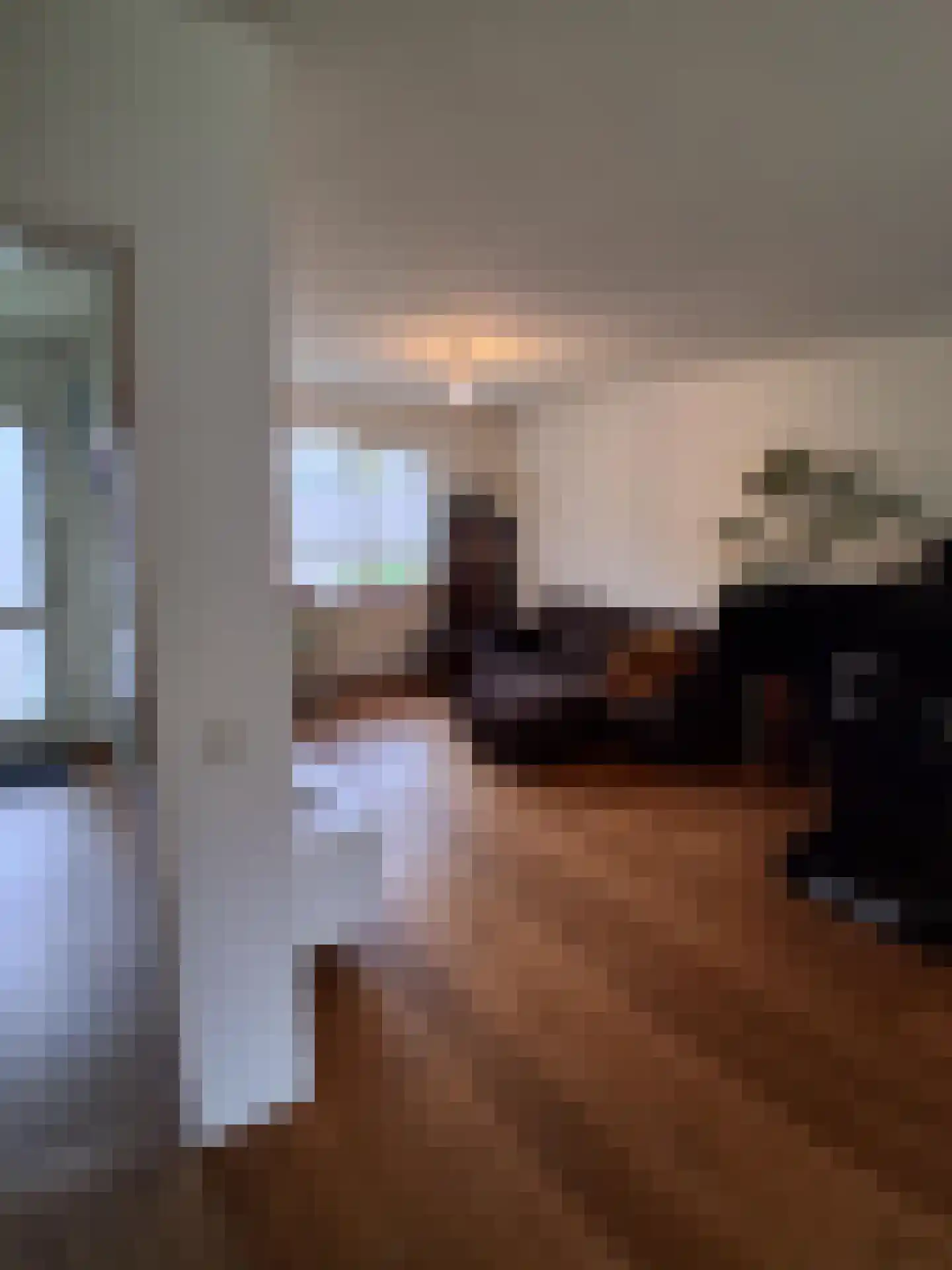 Ekster 29 Veldhoven thumbnail 16