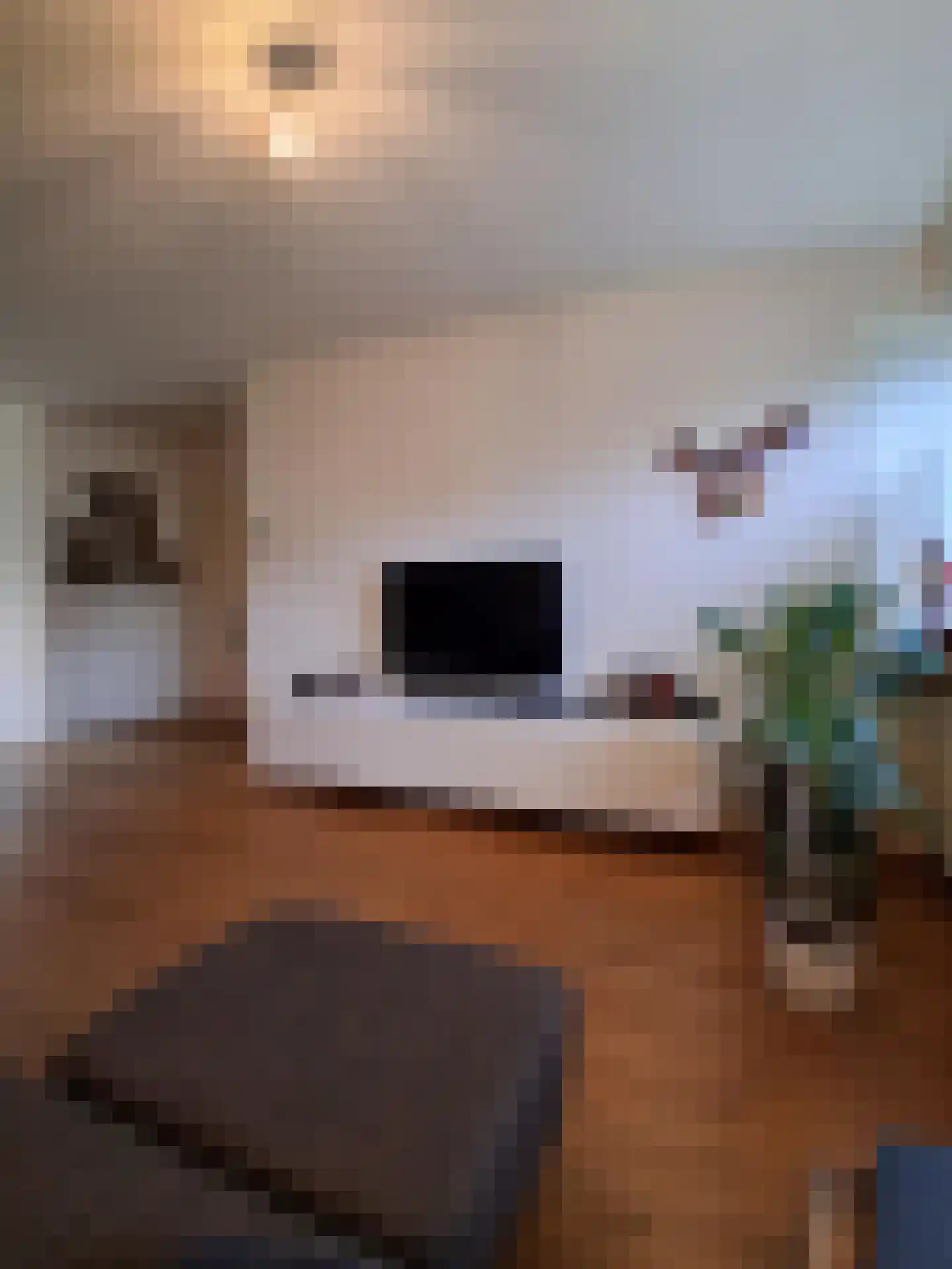 Ekster 29 Veldhoven thumbnail 18