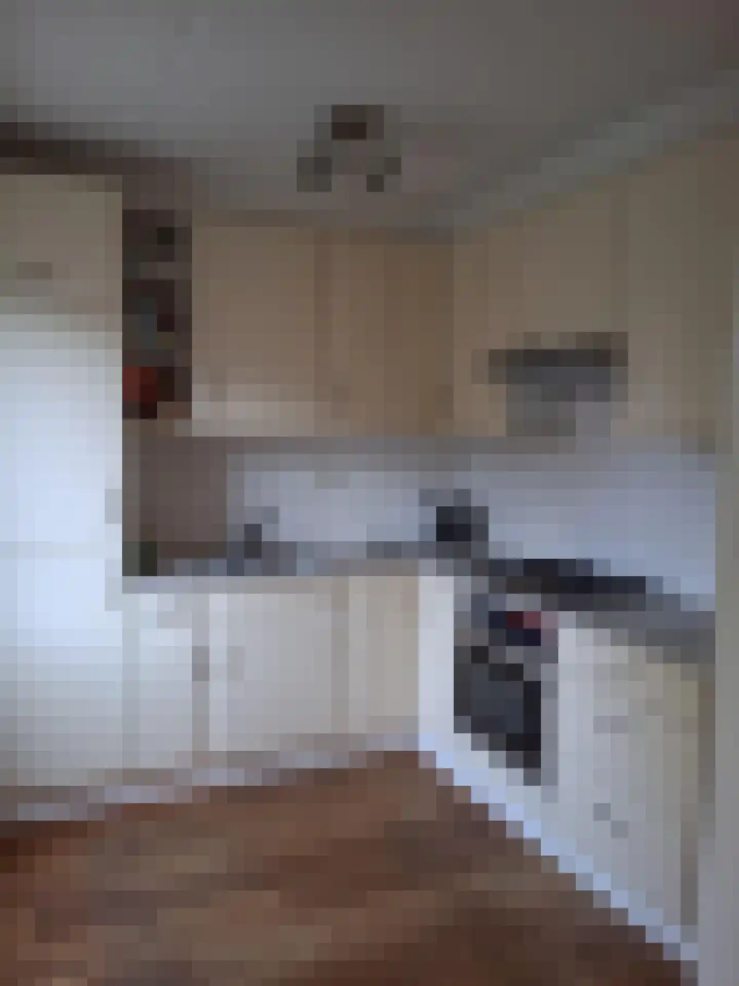 Ekster 29 Veldhoven thumbnail 25