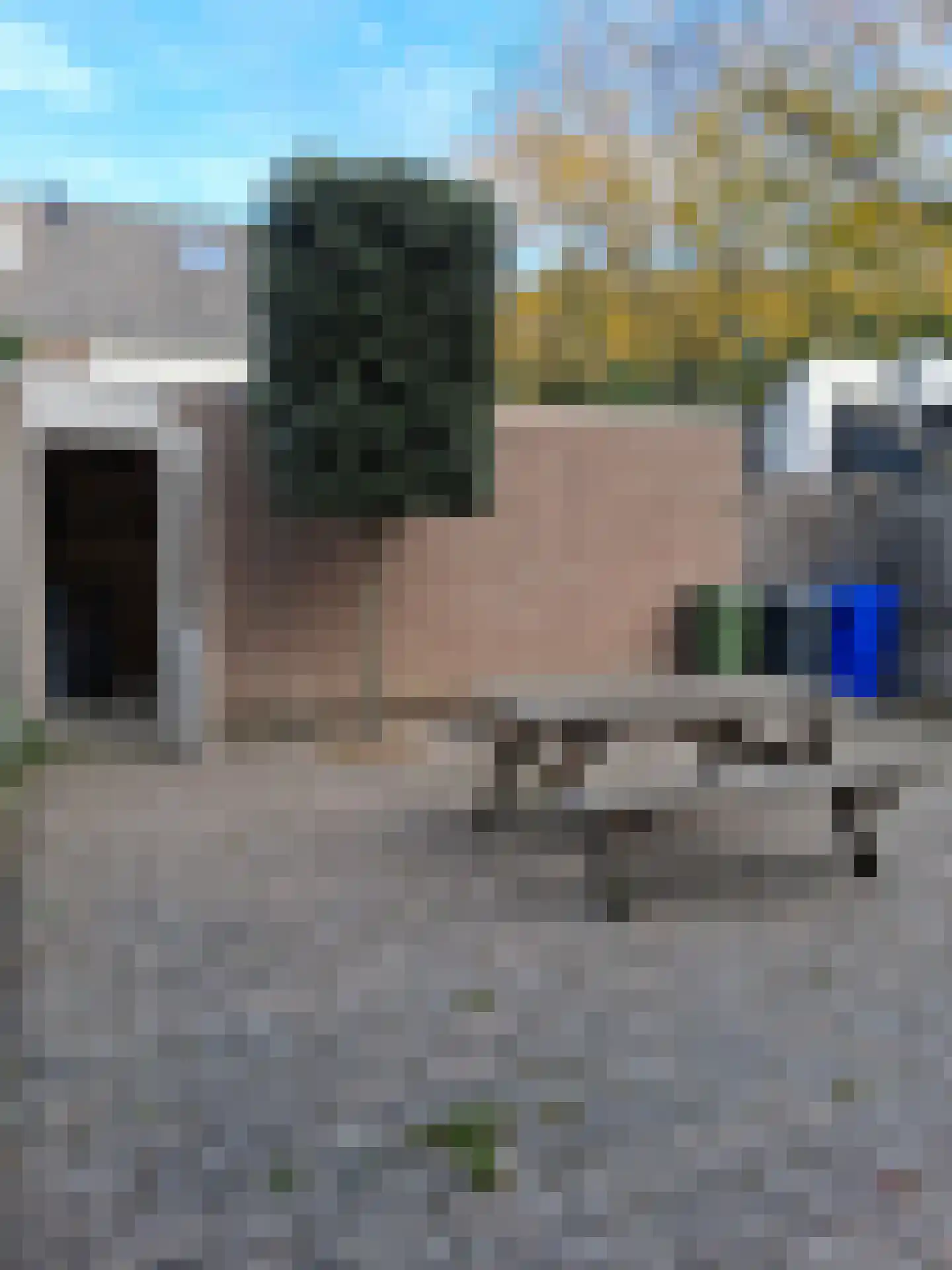 Ekster 29 Veldhoven thumbnail 31