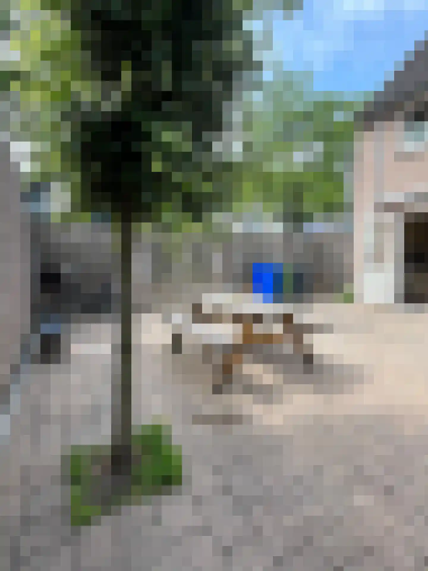 Ekster 29 Veldhoven thumbnail 32
