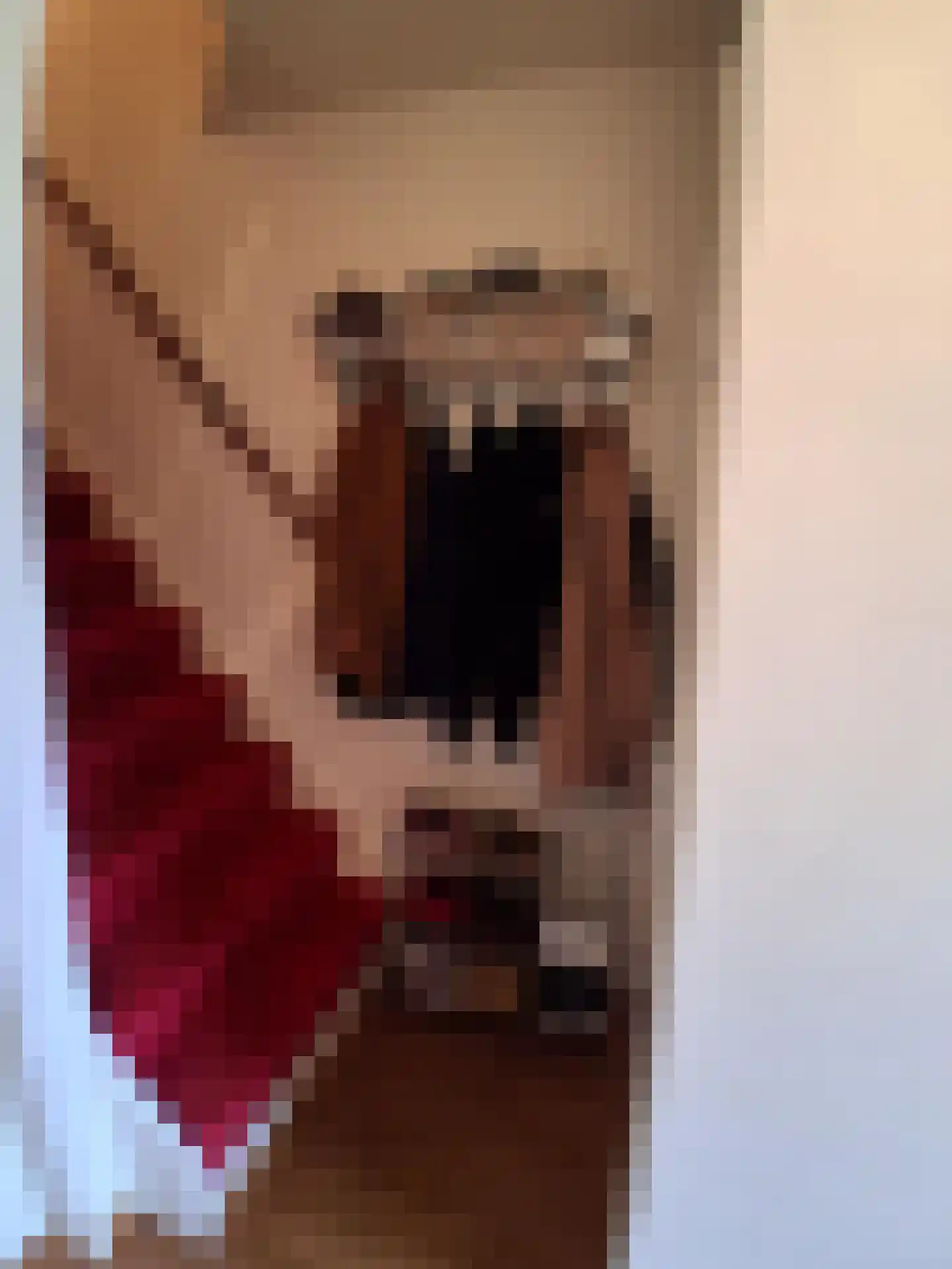 Ekster 29 Veldhoven thumbnail 38