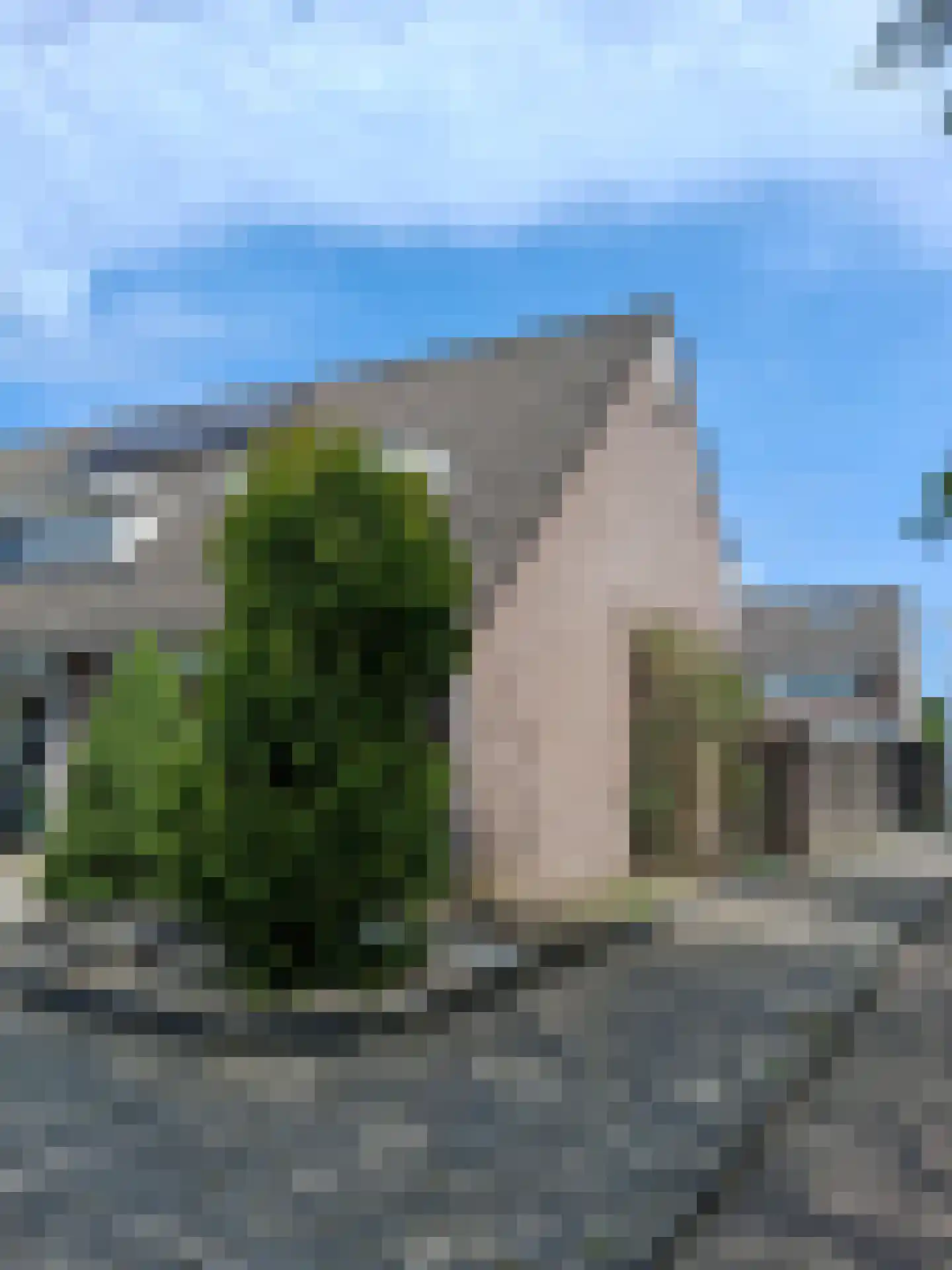 Ekster 29 Veldhoven thumbnail 4