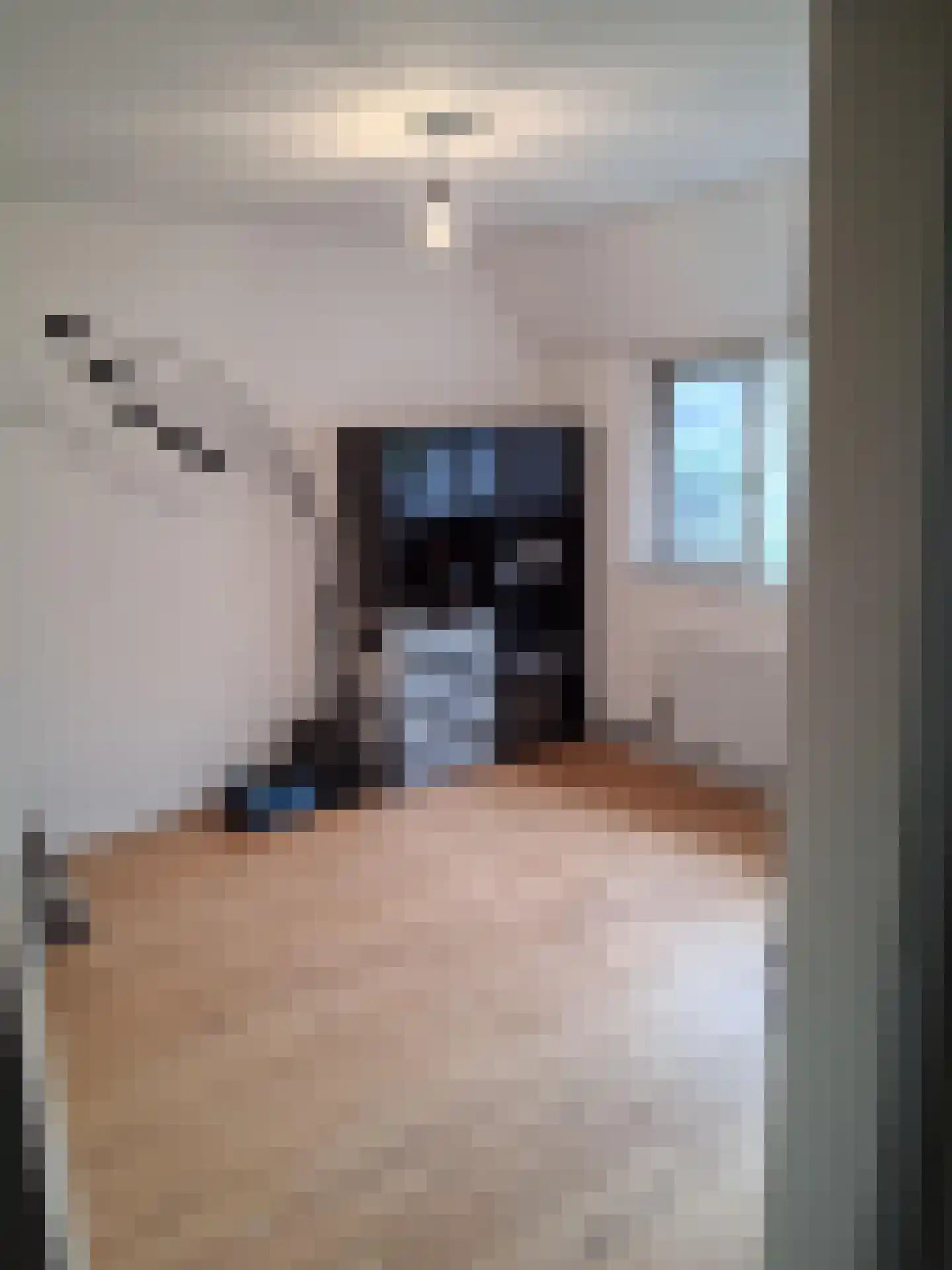 Ekster 29 Veldhoven thumbnail 47