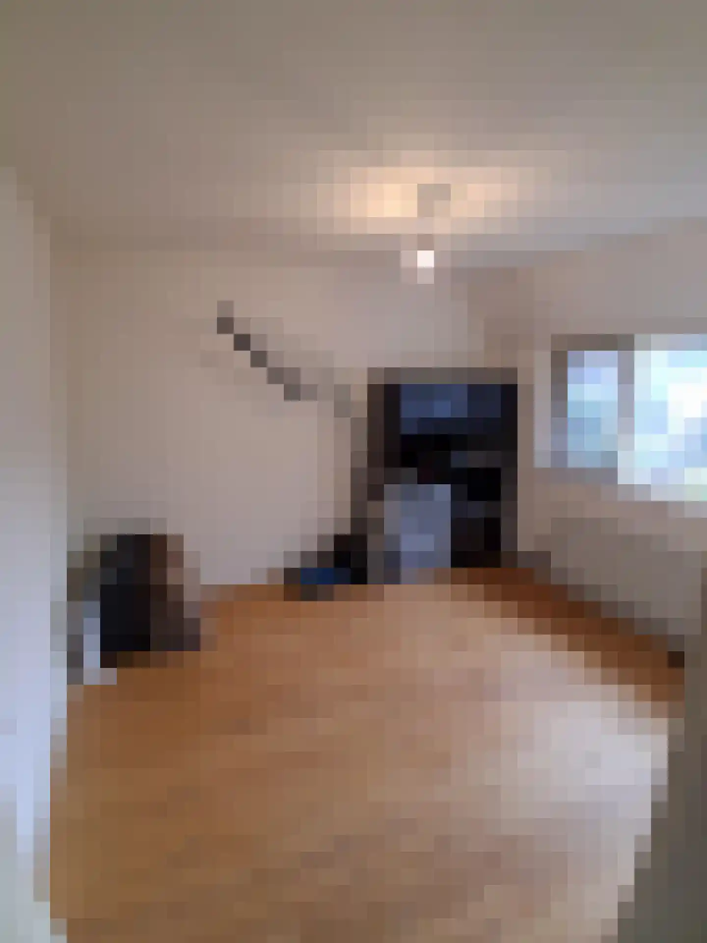 Ekster 29 Veldhoven thumbnail 49