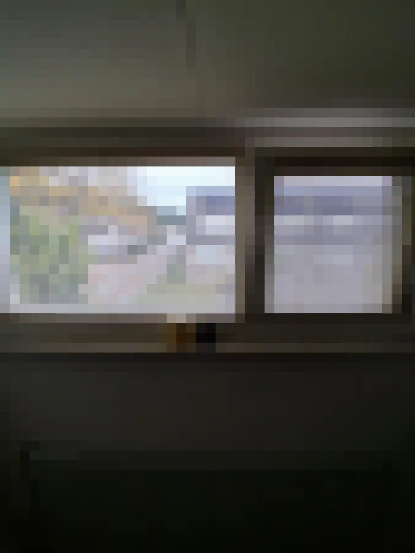 Ekster 29 Veldhoven thumbnail 53